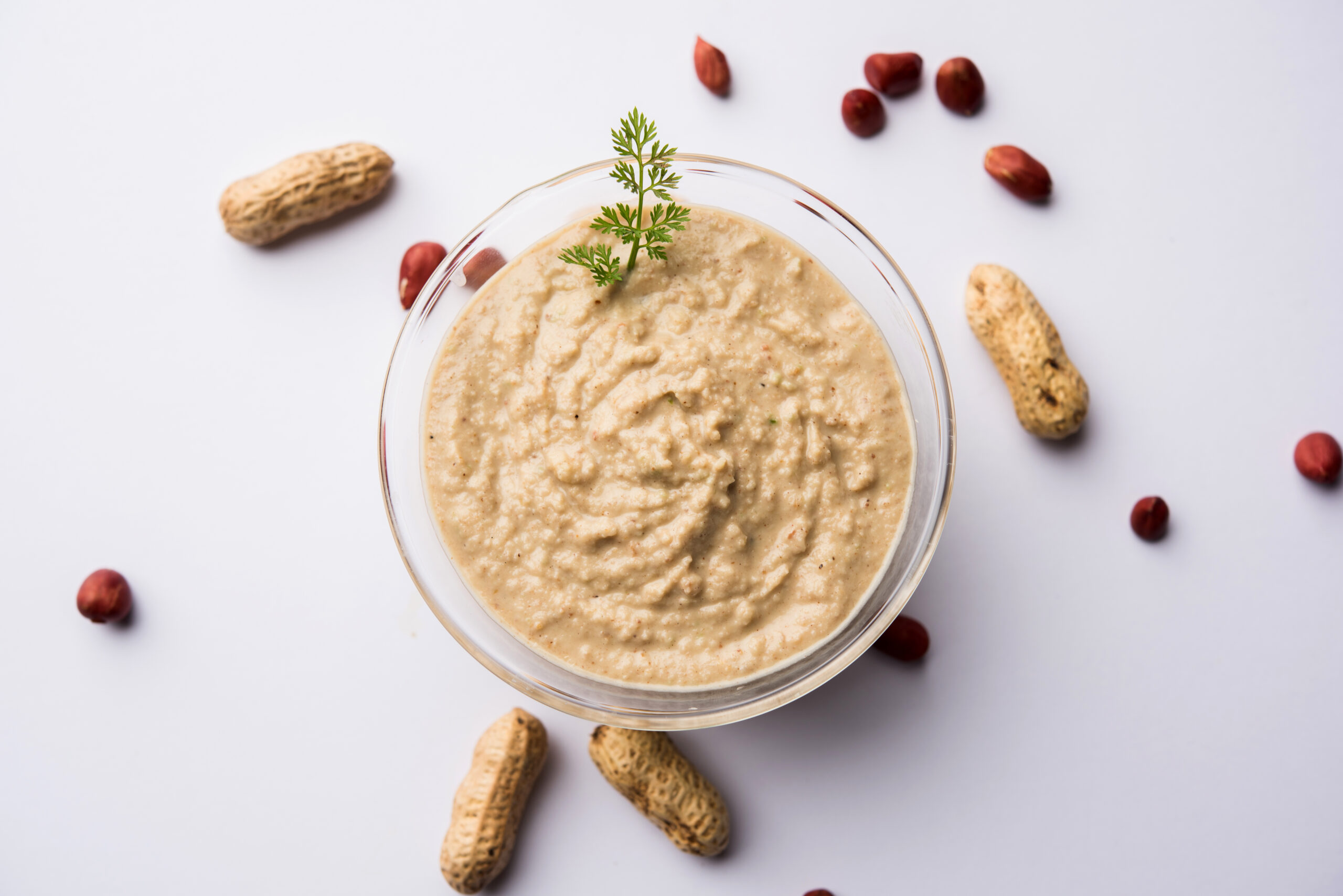 healthy peanut chutney made using groundnut / shengdana or mungfali. served in a small bowl with raw whole. selective focus